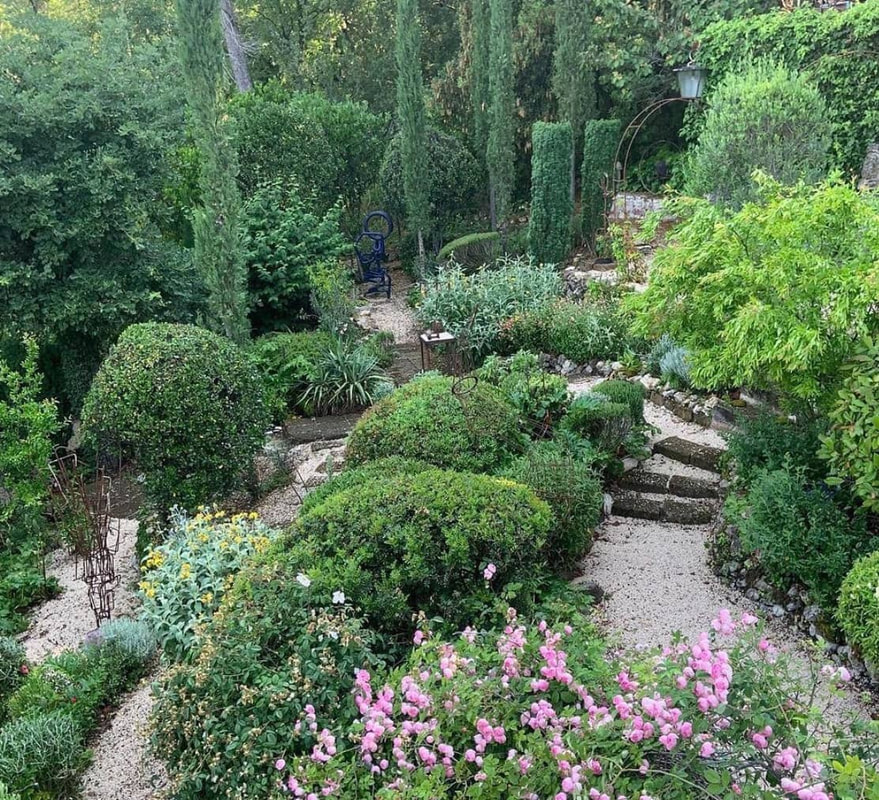 A picture of Gary Jo Gardenhire's garden.